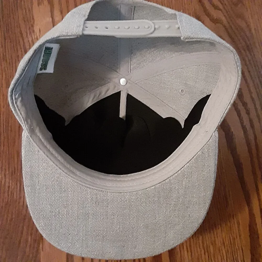 Scoob! Scooby Doo Gray Snapback Hat Unisex Kids Cartoon Movie EUC